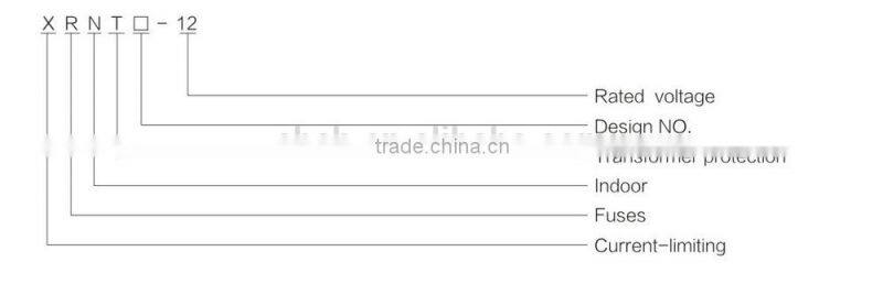 XRNT H.V current-limiting Series Fuses