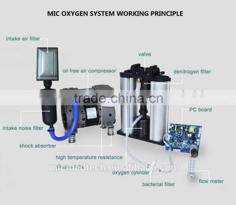 psa Trustworthy Principal oxygen generator System