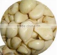 INGS-400 hot sale garlic separating machine with ISO