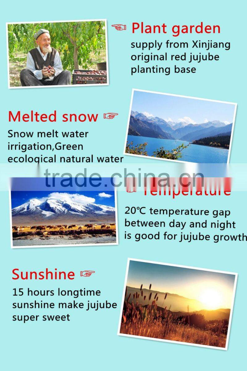 AD dried dried red jujube export of dates jujube fruit