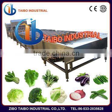 Small and Medium Size Vegetable and Fruit Washing Machine