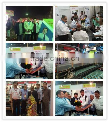 Electronic Dobby for Rapier Loom