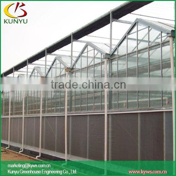 Venlo roof greenhouse design greenhouse construction