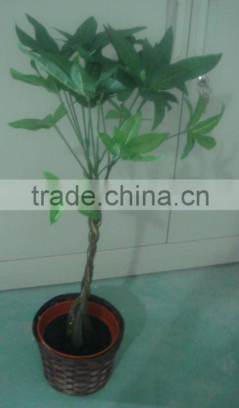 artificial plant,bonsai