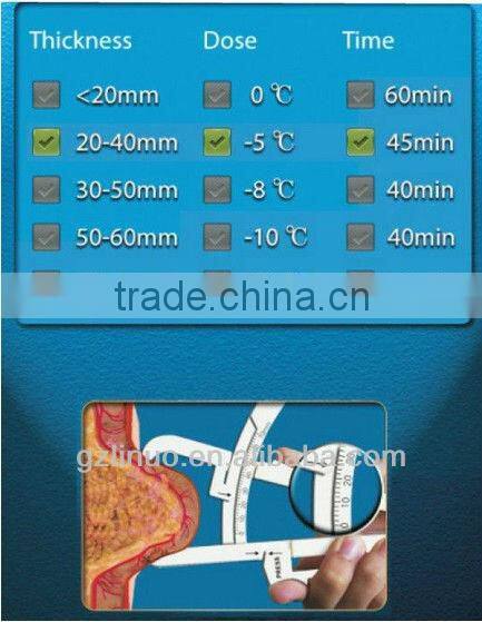 Chinese supplier wholesales 4 handles cryolipolysis machine