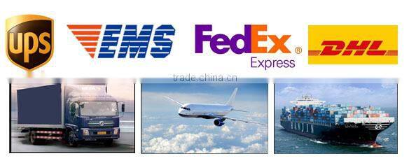 Mini naiad bluetooth wireless speaker with usb charger and FM Radio