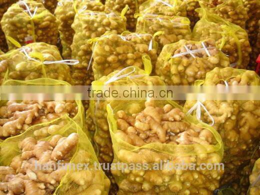 FRESH GINGER 200G UP FOR ALL MARKET