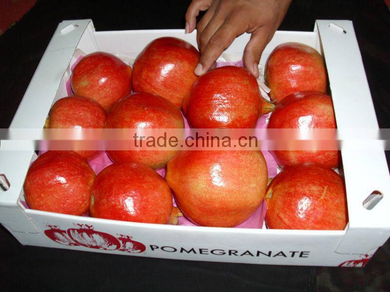 Sweet Pomegranate ( Fresh - Frozen )