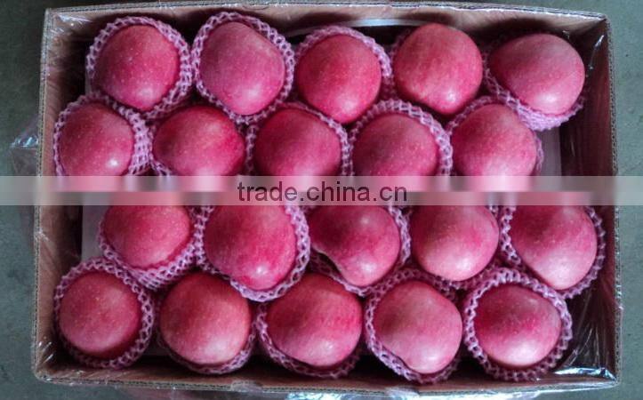 88# Fresh fuji apple
