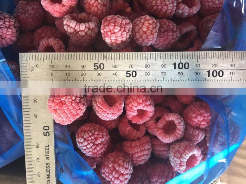 Grade A 95% whole frozen IQF raspberry