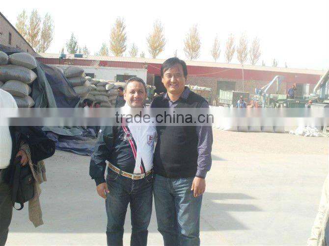 Top Quality Big Size Sunflower Seeds