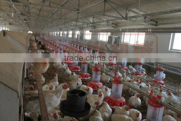 ^good quality Cocks Metering Cylinder Feeders