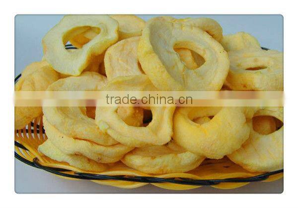 industrial drying oven