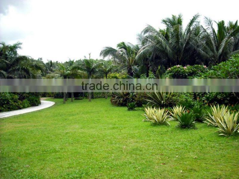 Chinese multi-stem artificial grass for garden