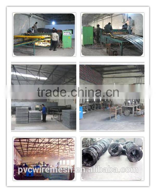 Low carbon welded steel wire double wire fence