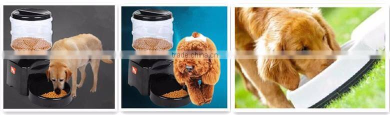 Automatic cat feeder