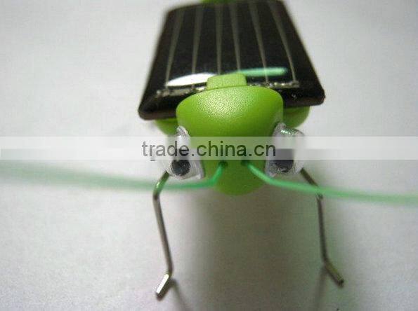 New arrival Solar Energy Toy Cockroach/ spider Green gift solar toy for kids