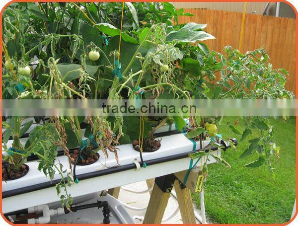 market gardening post system