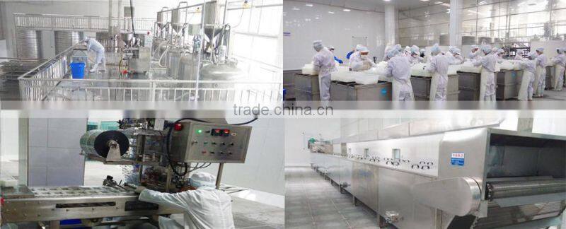 konjac weight loss snack- shirataki yum noodles