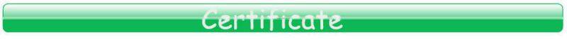 Wholesale Fancy mini Bamboo Disposable Forks