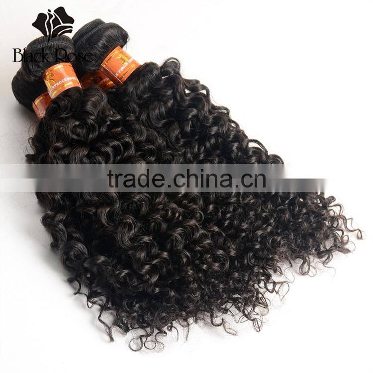 Black Rose Shengyuan Hair Factory Original Curly Indian Human Hair