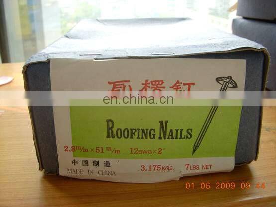 Competitive Zinc Roofing nail With Umbrella Head