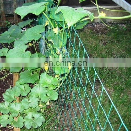 Pakistan 1.8x60m 20X20cm mesh cucumber plant support net