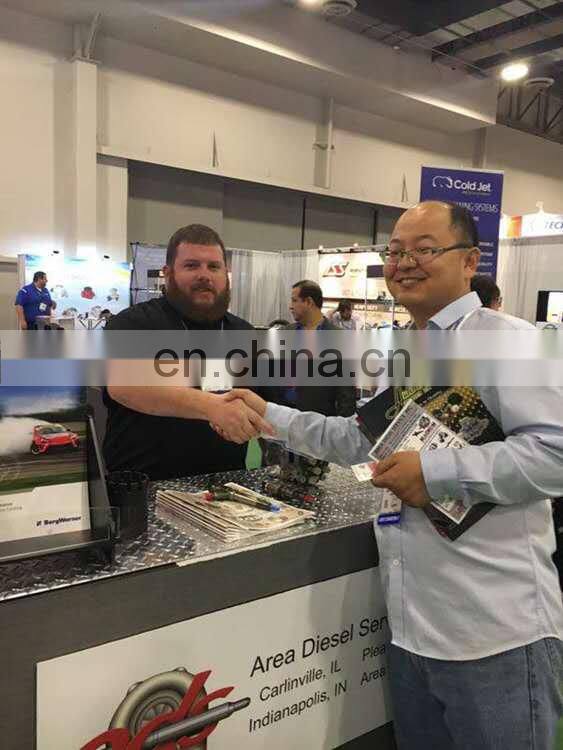 Common rail injector 0445110343