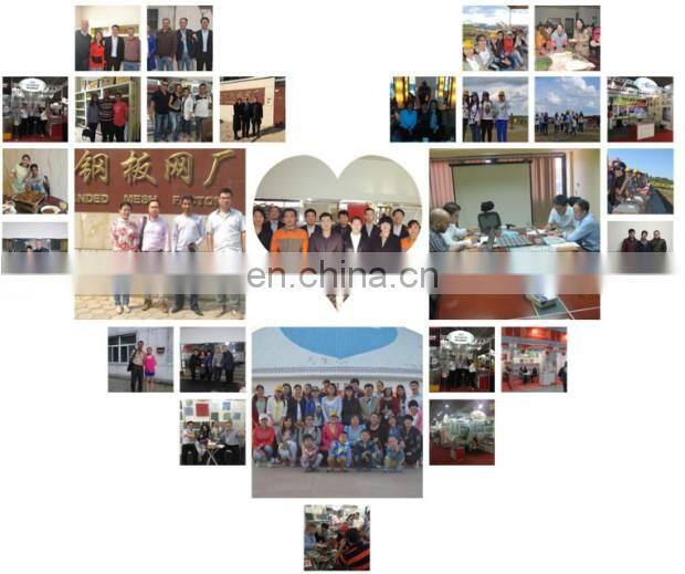 Aluminum decorative perforated metal mesh