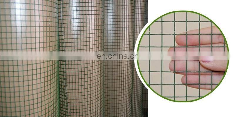Wire Mesh Chicken Hexagonal Wire Mesh Hexagonal Wire Mesh Netting