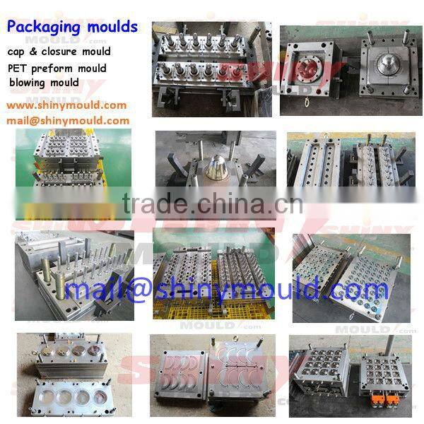 Pet Bottle Blow Mold Plastic Blow Molding Mold Blowing Mould