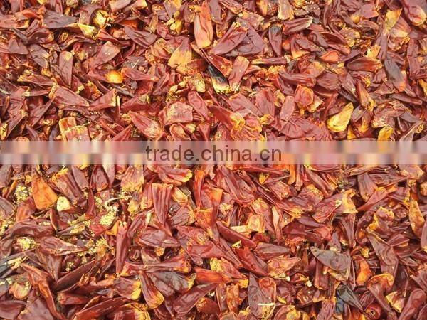 indian dry red chilli