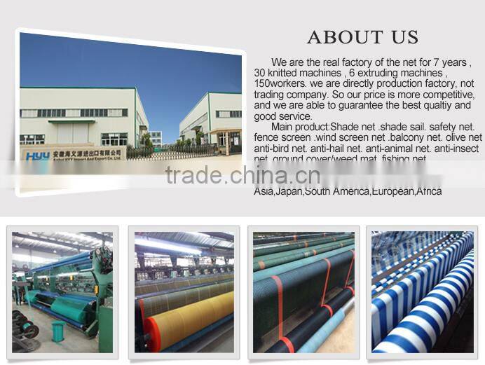 50GSM apple tree used anti-hail net ,anti-insect net