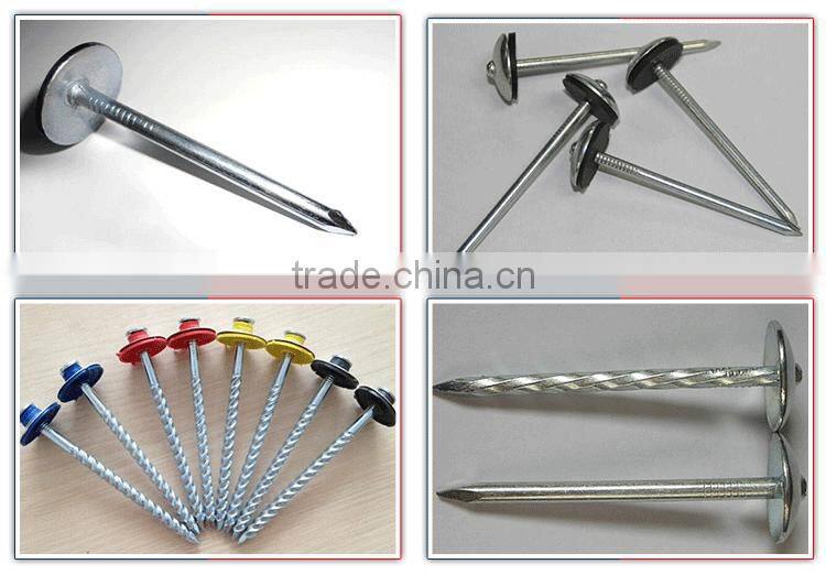 china umbrella head roofing nailsdirect from factory