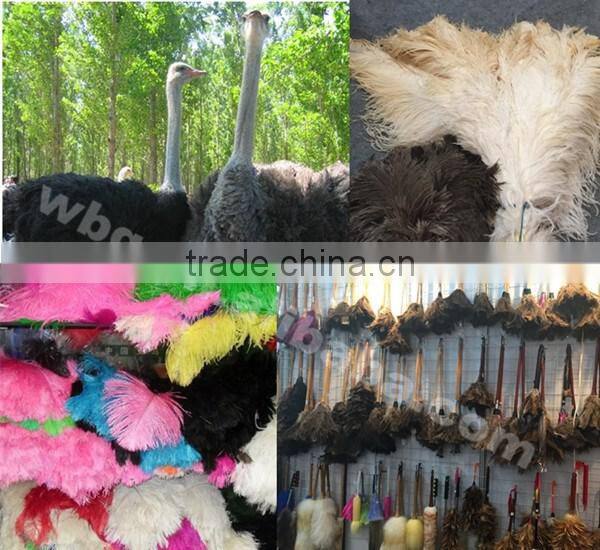 Boardwalk Professional Ostrich Feather Duster