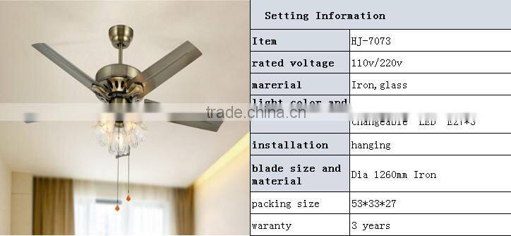 indoor electric ceiling fans with lights