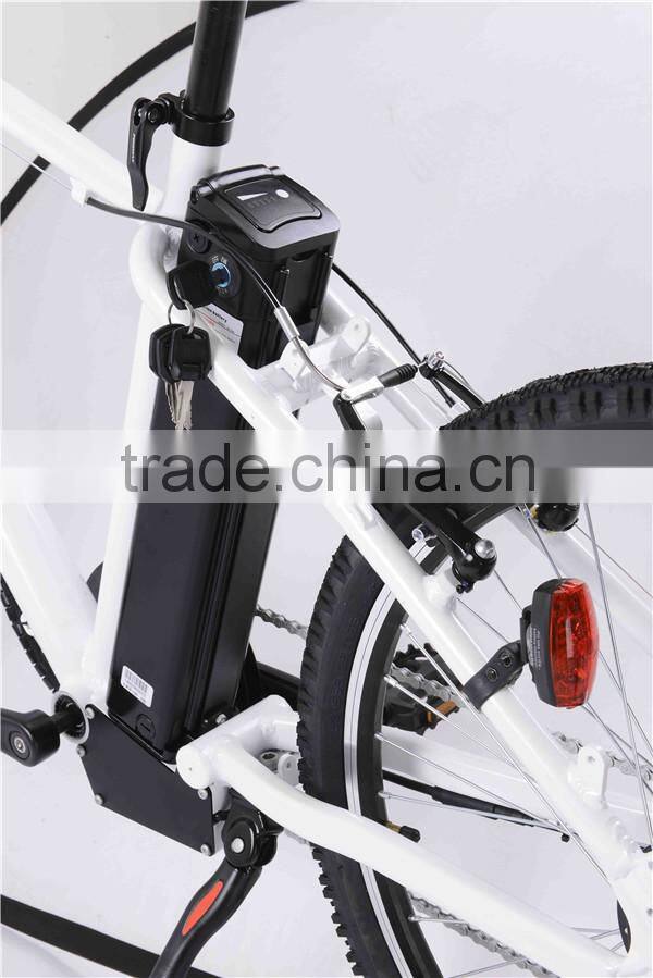 Mountain electric bike