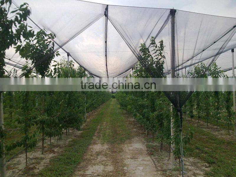 Made in China Anti Hail Net, anti hail netting for agriculture, 2016 hot sale Agricultural HDPE anti hail nets