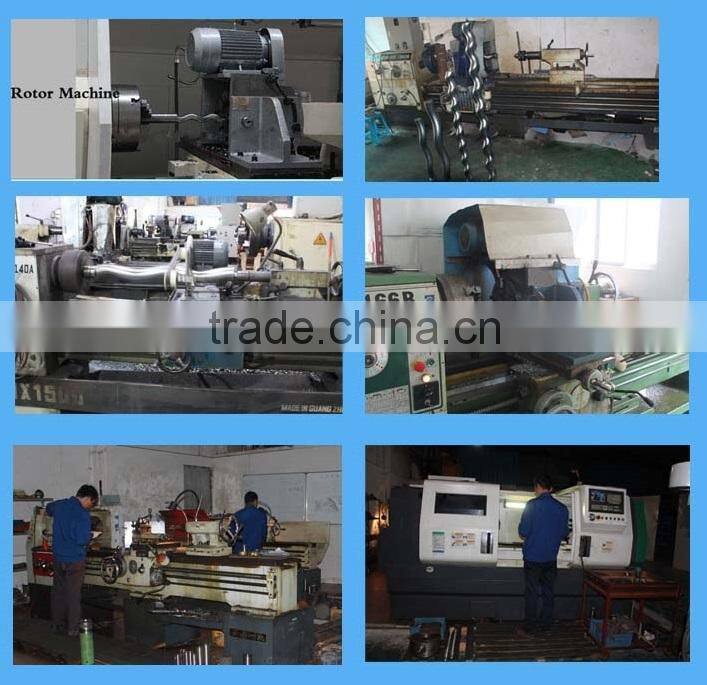 Hot sale Stainess steel Rotor of Seepex single screw pumps MD003-24