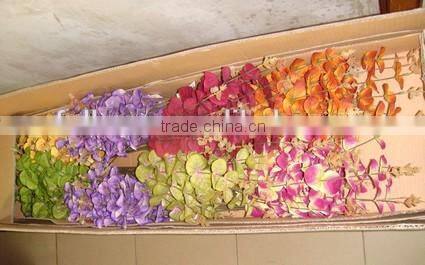 Indoor Decoration Artificial Leaves Multicolor Eucalyptus Plant