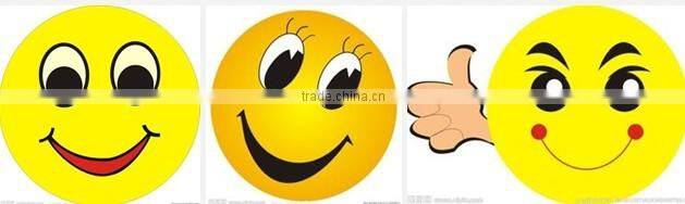 led floodlight 15w with CE ROHS