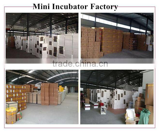 48 Egg Capacity Small Incubator for Hatching Eggs