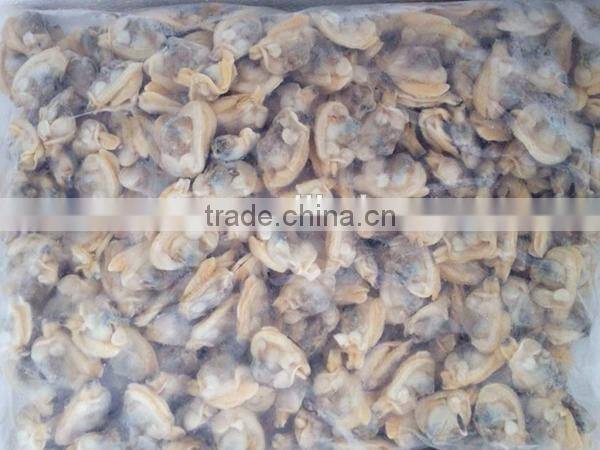 export frozen fresh clam meat