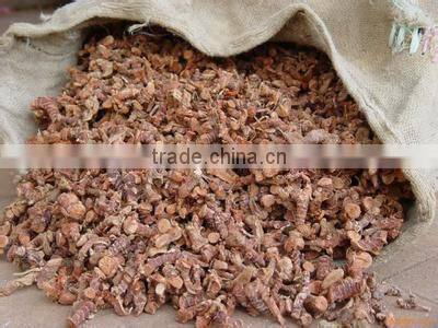 Dried Galangal roots