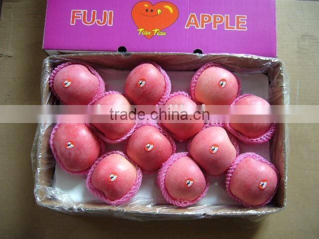 Sell Honey Crisp Fresh Fuji Apple- Blush