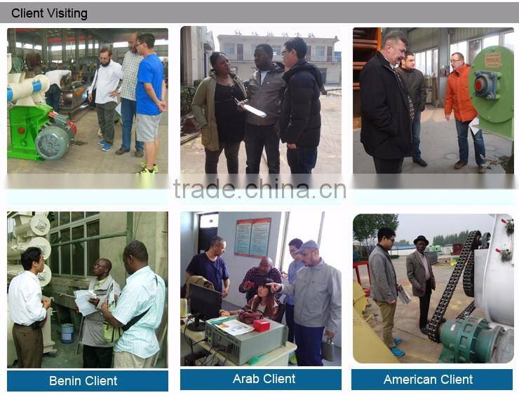 mini home use chicken feed pellet making machine