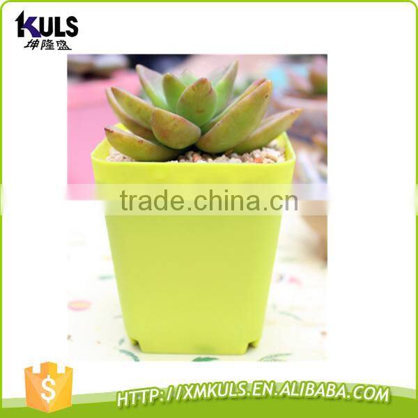 Wholesale colorful cheap mini plastic flower pots