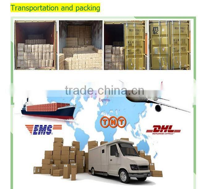 Hot sales the Middle East summer women muslim long dress