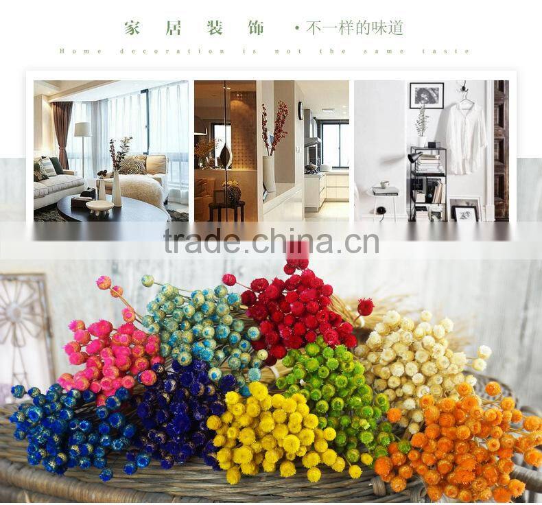 Dried natural small mini flower Brazilian art artificial dried flower home decoration