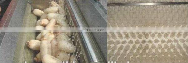 Fresh vegetable washing machines/green leaves vegetable washing machine for sale